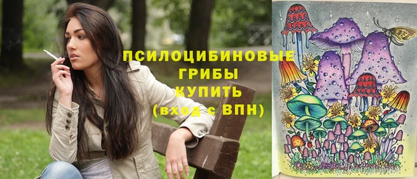 первитин Надым