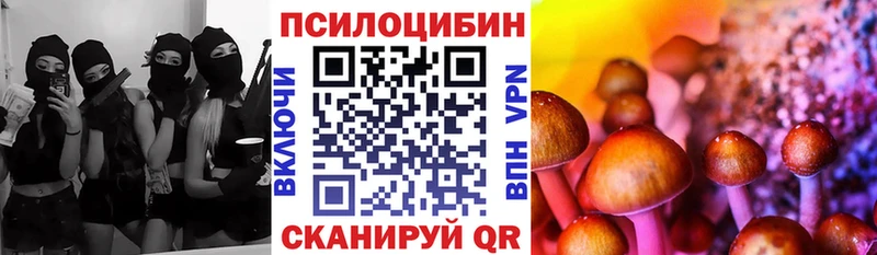 Галлюциногенные грибы Psilocybe  гидра ссылка  Динская  магазин   