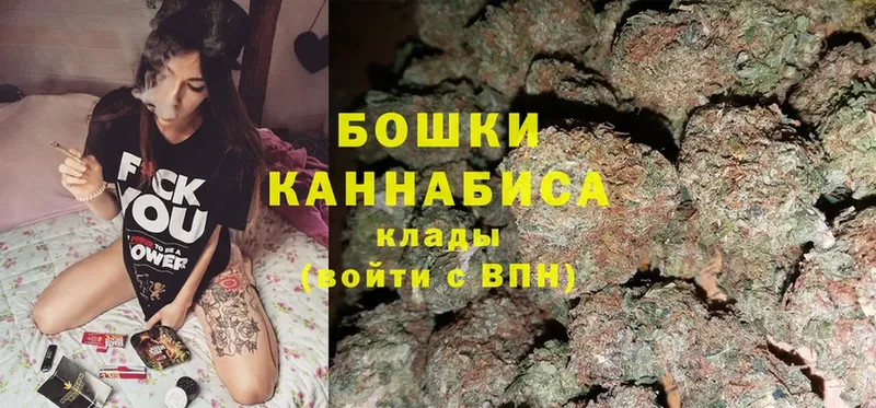 где можно купить   Динская  Марихуана SATIVA & INDICA 