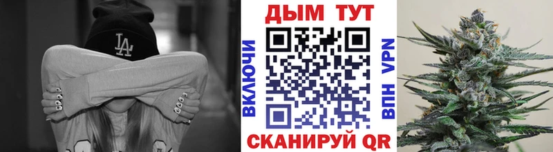 наркотики  Динская  mega рабочий сайт  Конопля семена 
